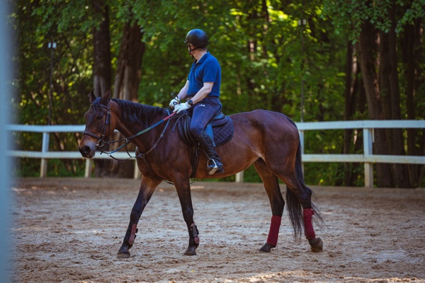 Horse show arena near Southern Pines RV Park