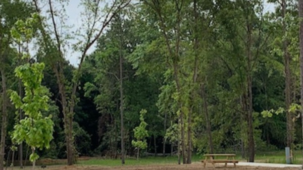 RVs on level concrete pads at Southern Pines RV Park