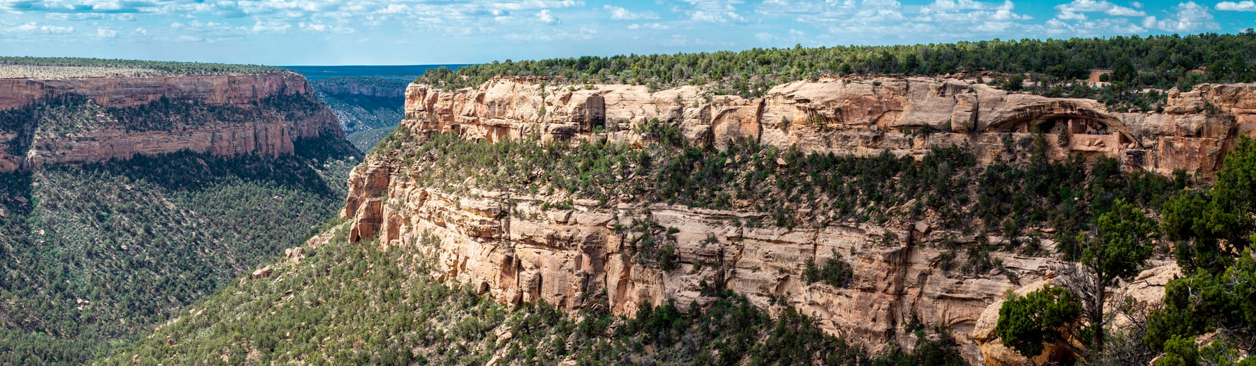 Cliff Palace cliff dwelling at Mesa Verde National Park